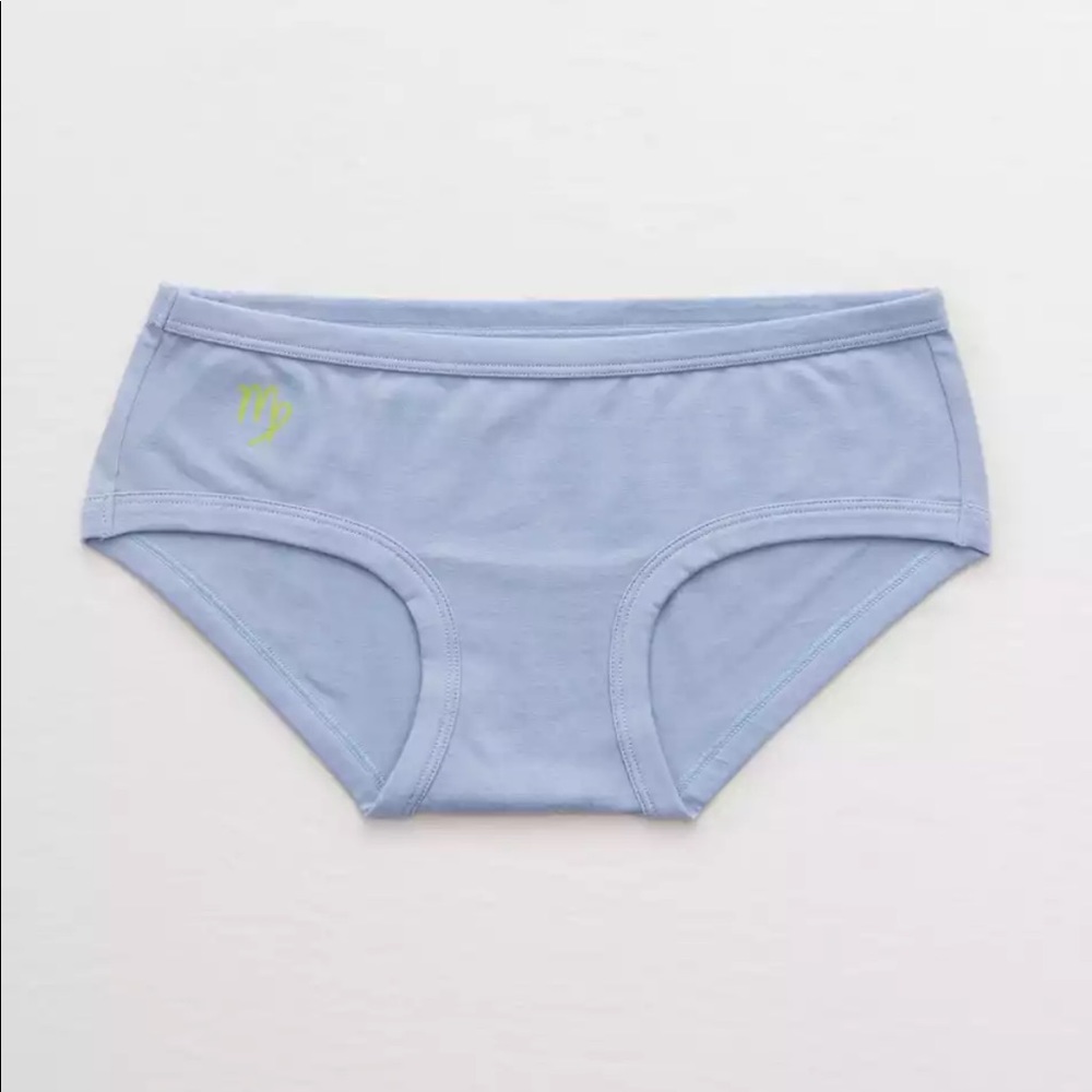 aerie virgo boy brief underwear